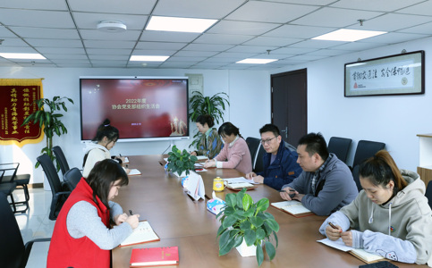 中国道路交通安全协会党支部召开2022年度组织生活会