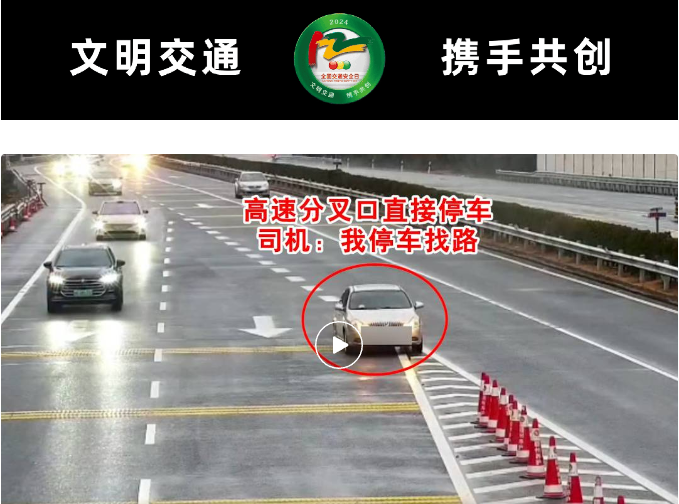 高速分叉口直接停车 司机：我停车找路