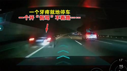 一个牙疼就地停车 一个开“智驾”不看路……