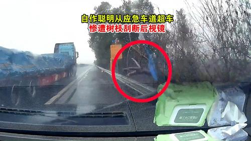 自作聪明从应急车道超车 惨遭树枝刮断后视镜