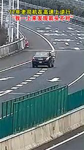 17年老司机在高速上逆行：“我一上来发现箭头不对”