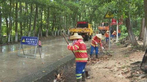 陵水：以"智慧路长"APP助力提升农村公路管理水平最新推荐