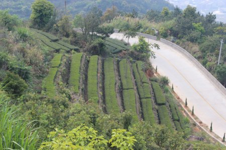 我省农村公路有了“智慧眼”最新推荐