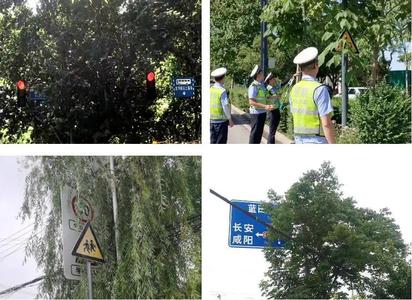 陕西西安发现红绿灯或交通设施被遮挡 您可以“一键报警”