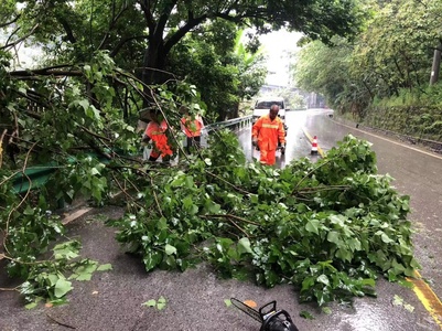 减轻灾害风险 保障公路出行安全